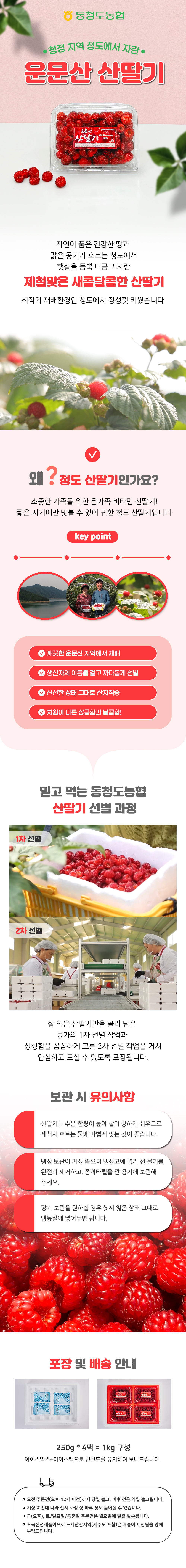 산딸기 상세페이지입니다.